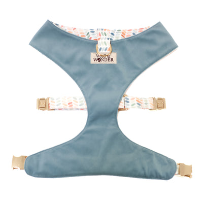 Reversible dog harness with gold hardware shown in a dusty blue velvet.
