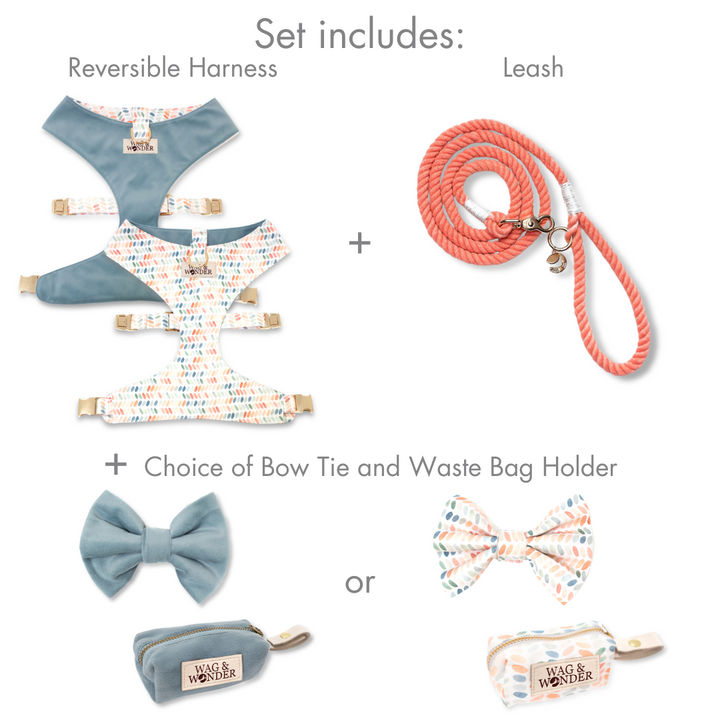 Arctic Sky Reversible Dog Harness + Bow Tie Spiced Coral Walk Set