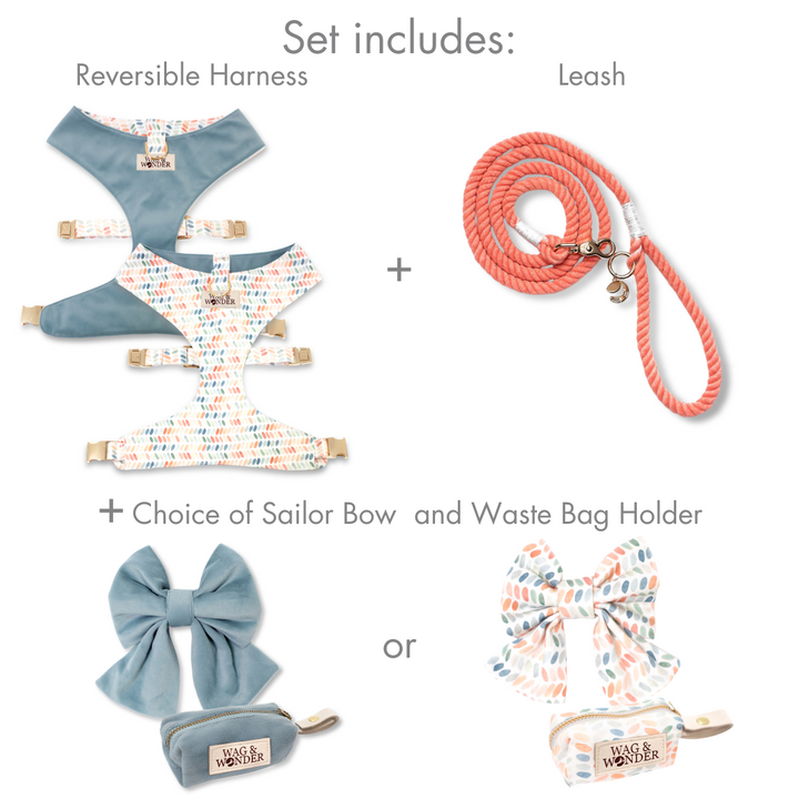 Arctic Sky Reversible Dog Harness + Sailor Bow Spiced Coral Walk Set