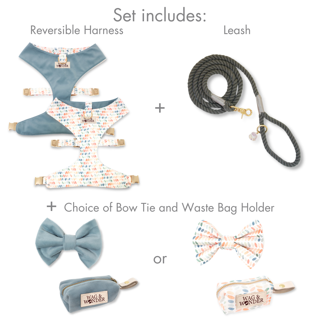 Arctic Sky Reversible Dog Harness + Bow Tie Stone Walk Set