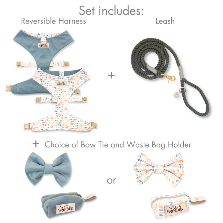 Arctic Sky Reversible Dog Harness + Bow Tie Stone Walk Set