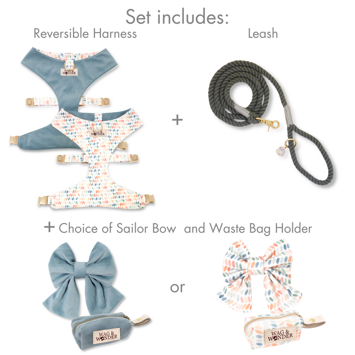 Arctic Sky Reversible Dog Harness + Sailor Bow Stone Walk Set