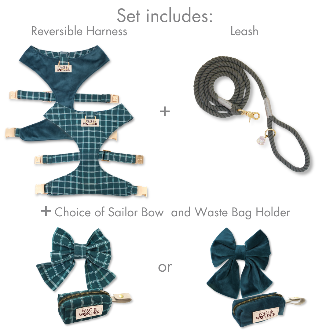 Atlantic Waves Reversible Dog Harness + Sailor Bow Walk Set