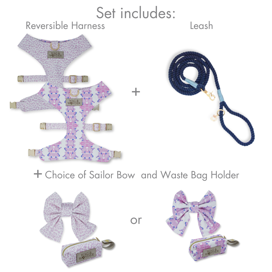 French Lavender Reversible Dog Harness + Sailor Bow Walk Set