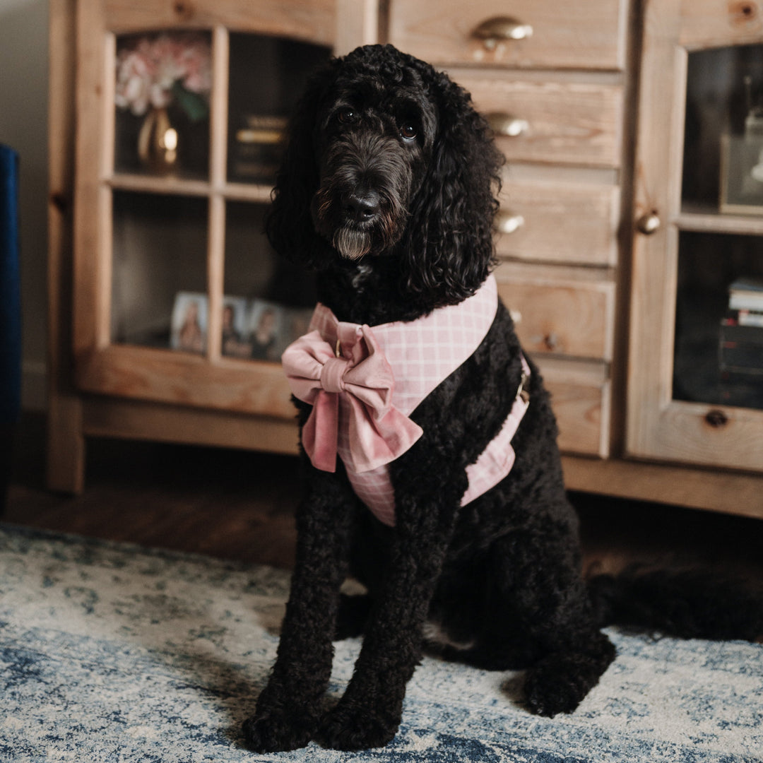Velvet Rose Blossom Sailor Dog Bow