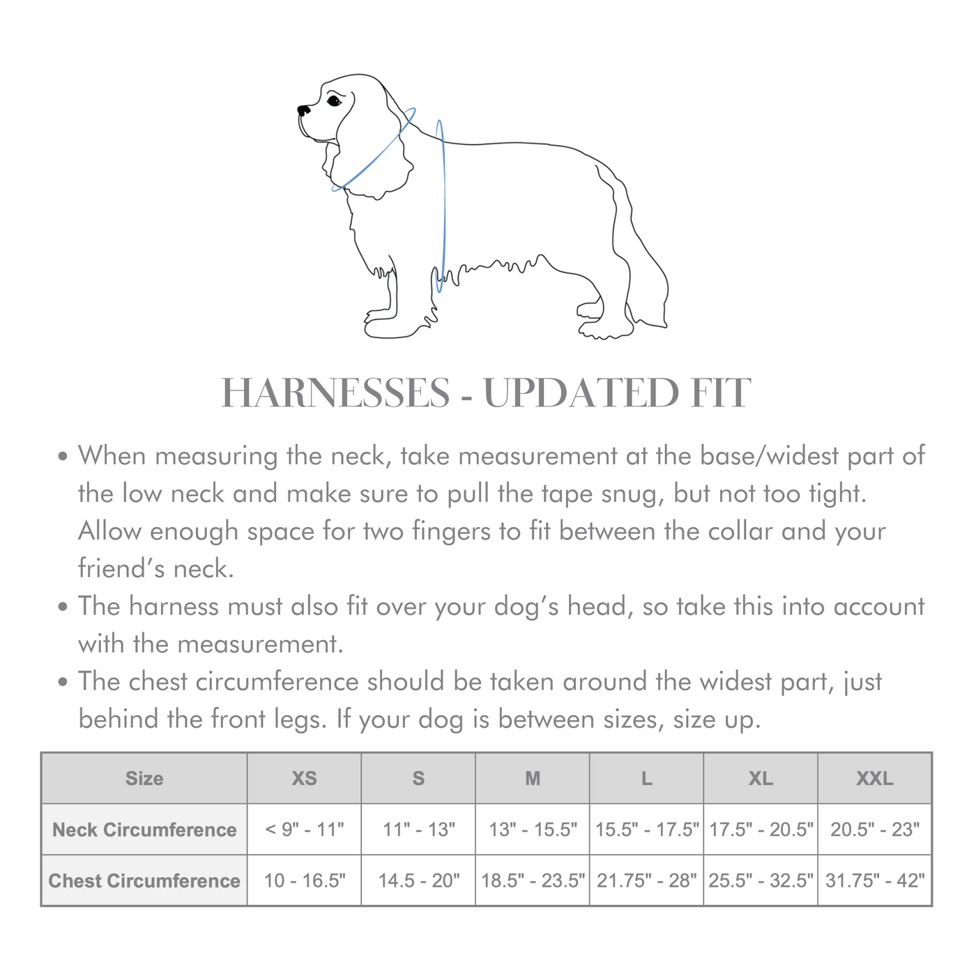 Seaside Reversible Dog Harness