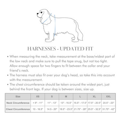 Rose Blossom Reversible Dog Harness