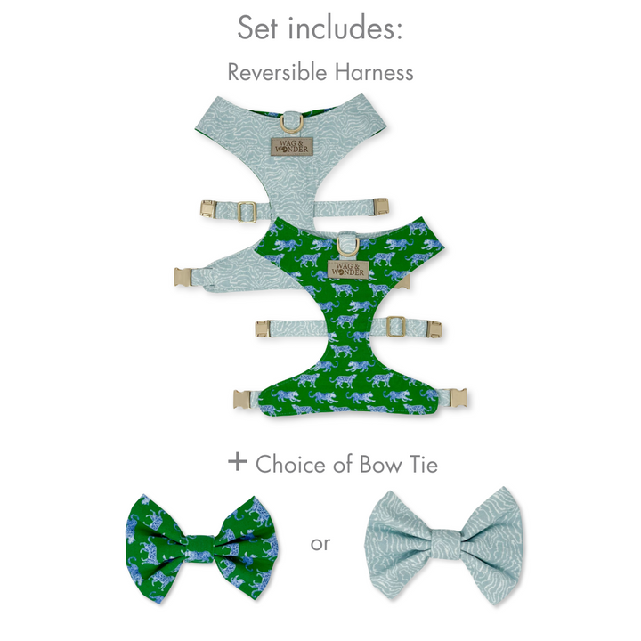 Leopard Parade Reversible Dog Harness + Bow Tie