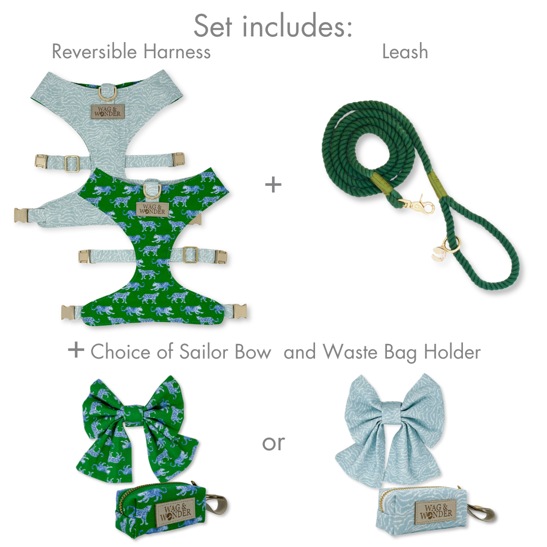 Leopard Parade Reversible Dog Harness + Sailor Bow Walk Set