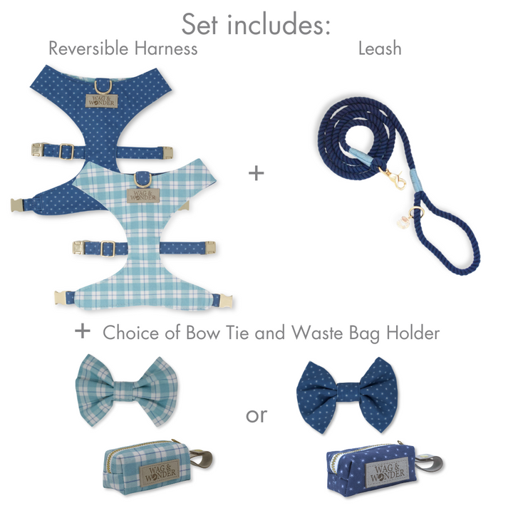 Seaside Reversible Dog Harness + Bow Tie Walk Set