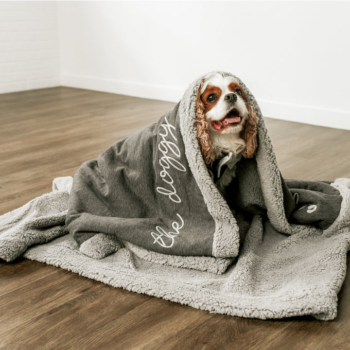 Cavalier King Charles Spaniel Snuggled in gray dog blanket