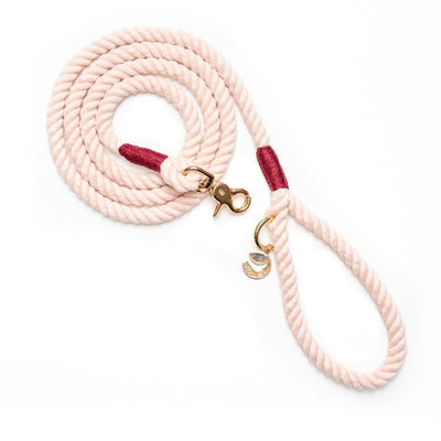 Rope dog leash arranged in coil with gold hardware in light pink