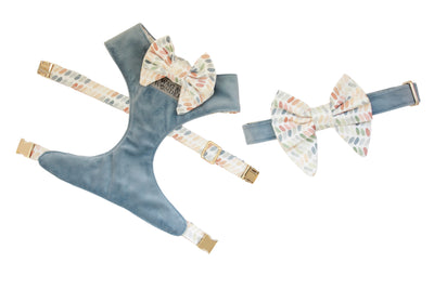 The Birth of a Pet Accessory Brand: Dog Harnesses with Style