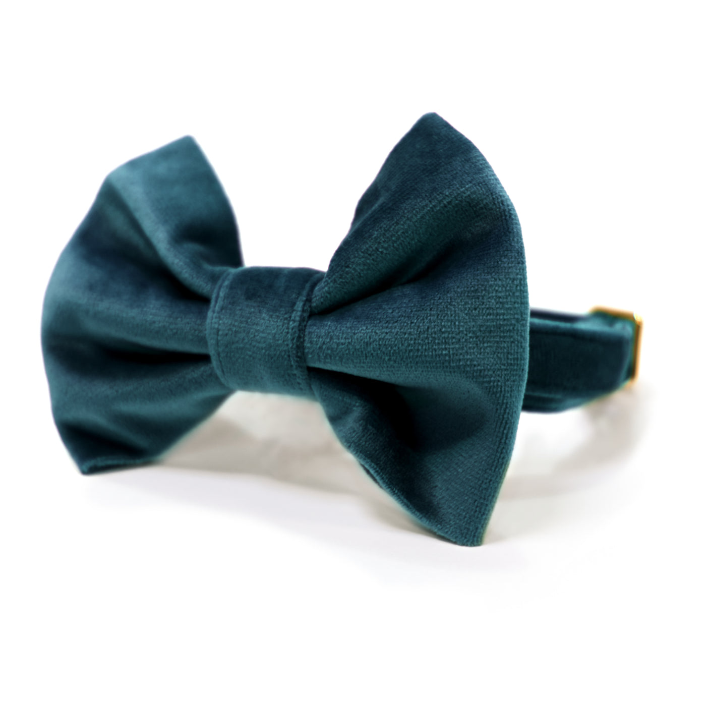 Dark teal velvet dog collar with bow tie