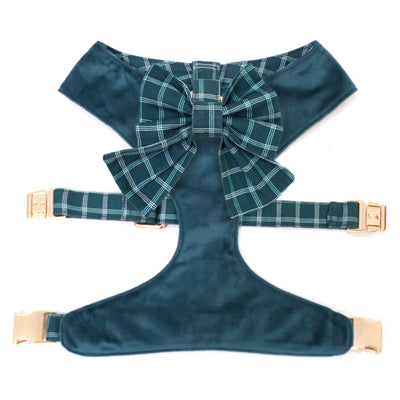 Teal velvet dogn harness with gold hardware and windowpane plaid sailor dog bow