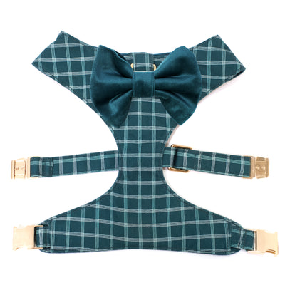 Reversible dog harness in teal windowpane plaid with gold hardware and dark teal velvet bow tie