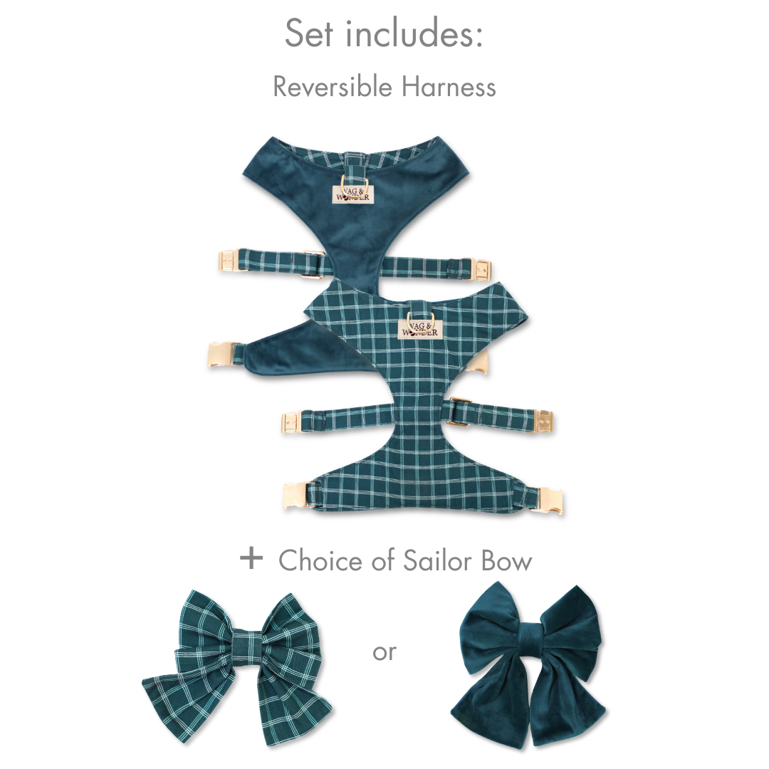 Atlantic Waves Reversible Dog Harness + Sailor Bow