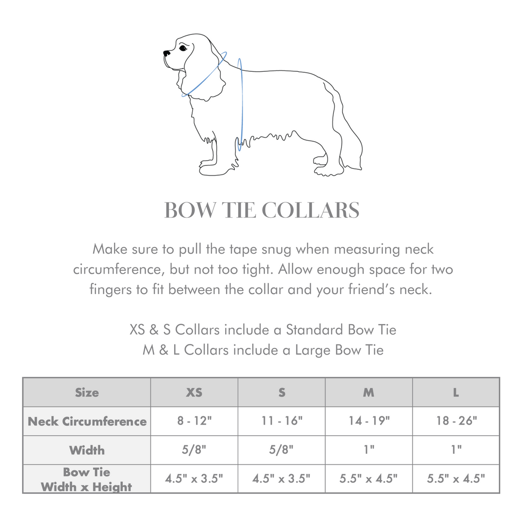 Velvet Misty River Classic Dog Collar + Bow Tie