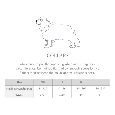 Size chart for dog collar