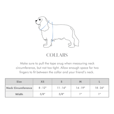 Dog collar size chart