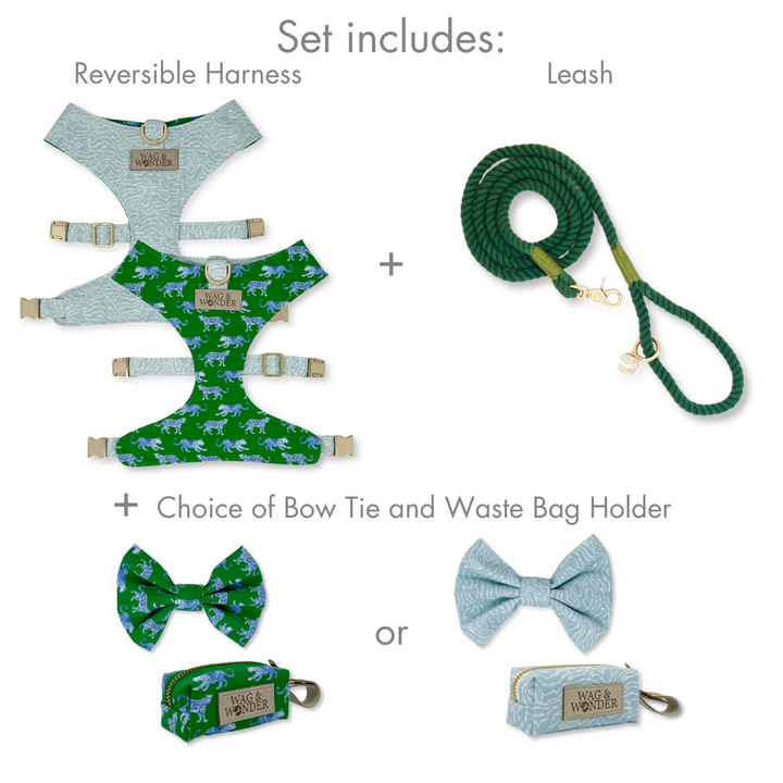 Leopard Parade Reversible Dog Harness + Bow Tie Walk Set
