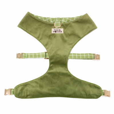 Olive green velvet reversible dog harness with gold hardware