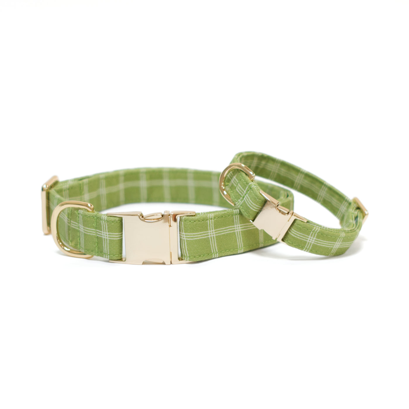 Spring green triple windowpane plaid dog collar with gold hardware shown in sizes medium and small
