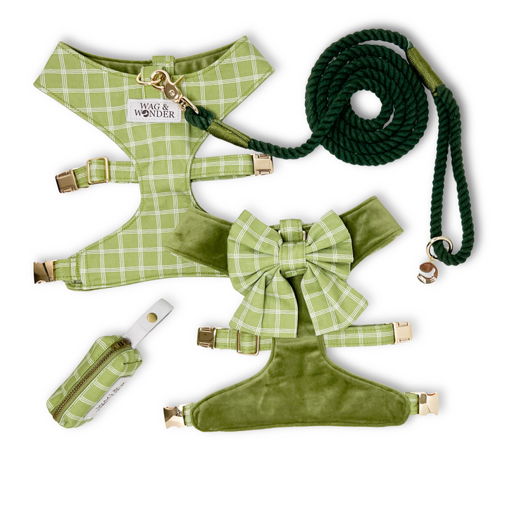 Meadow Reversible Dog Harness + Sailor Bow Walk Set