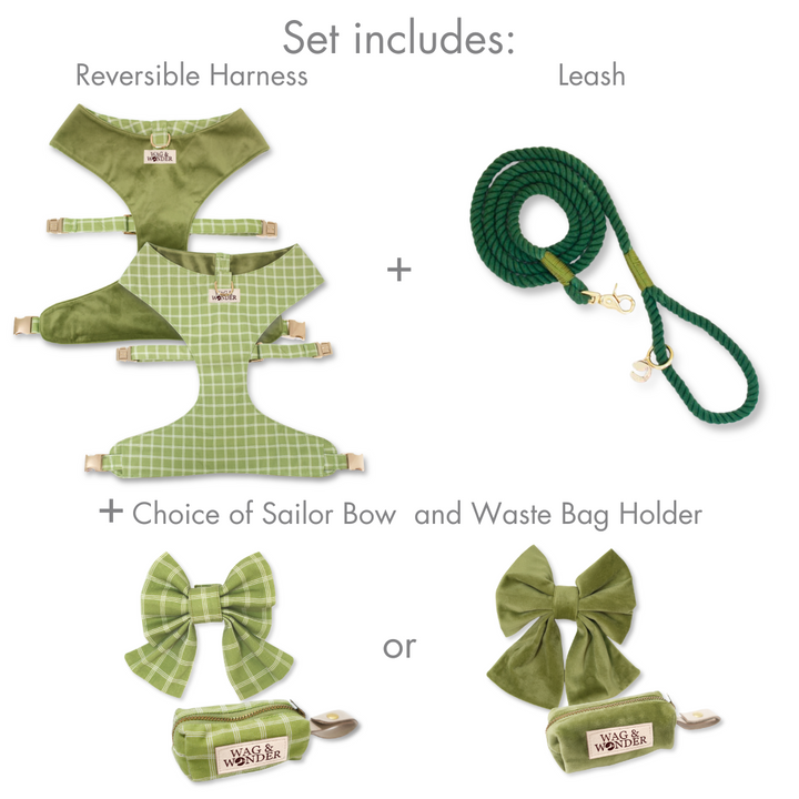 Meadow Reversible Dog Harness + Sailor Bow Walk Set