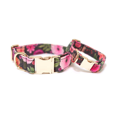 Floral print dog colars with gold hardware in sizes small and medium
