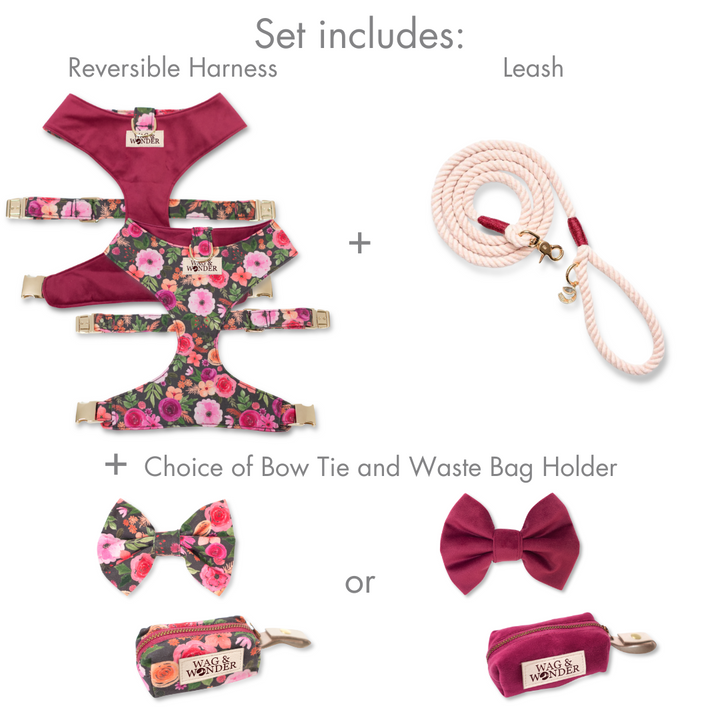 Mulberry Bouquet Reversible Dog Harness + Bow Tie Walk Set
