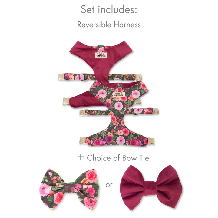 Mulberry Bouquet Reversible Dog Harness + Bow Tie