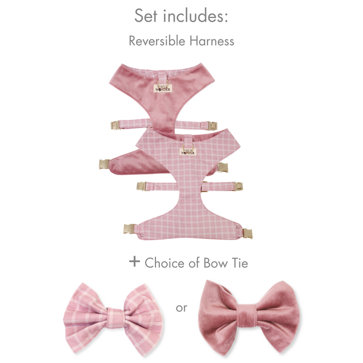 Rose Blossom Reversible Dog Harness + Bow Tie