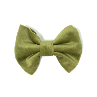 Olive velvet dog bow tie for collars or harnesses