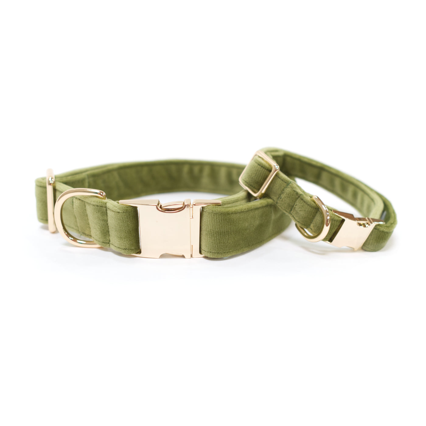 Moss green dog collar with gold hardware in sizes small and medium