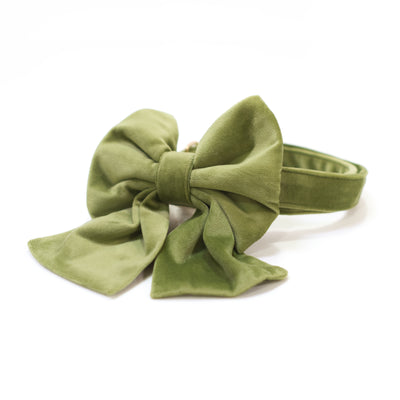 Avocado green velvet dog collar with removable sailor bow