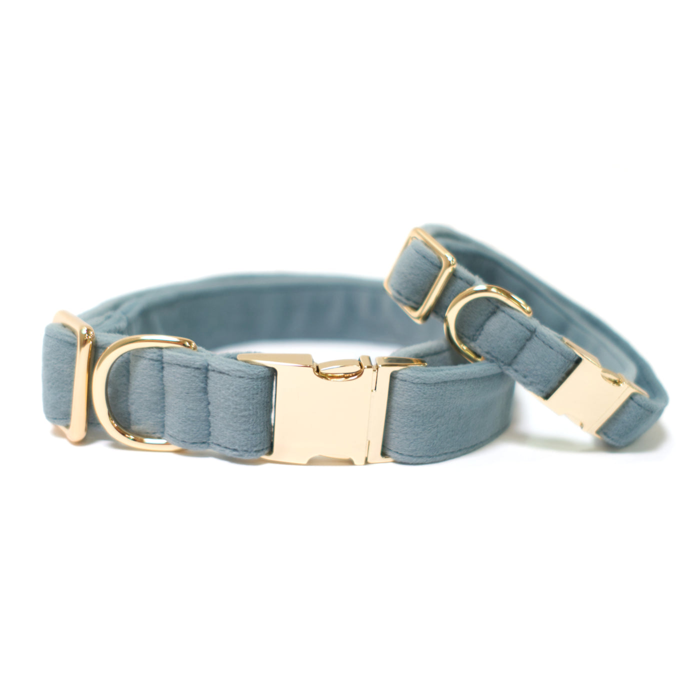 Cornflower blue velvet dog collar with gold hardware shown in two sizes.