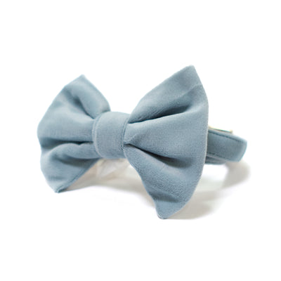 Dusty blue velvet dog collar with removable bow tie.