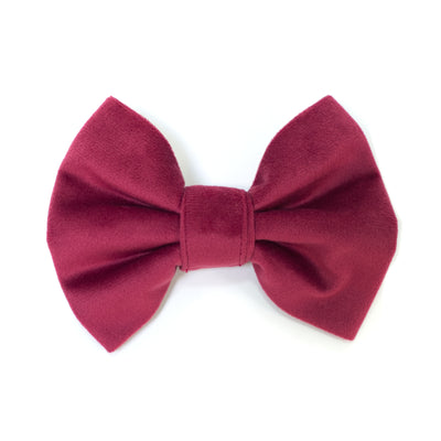 Burgundy velvet classic dog bow tie