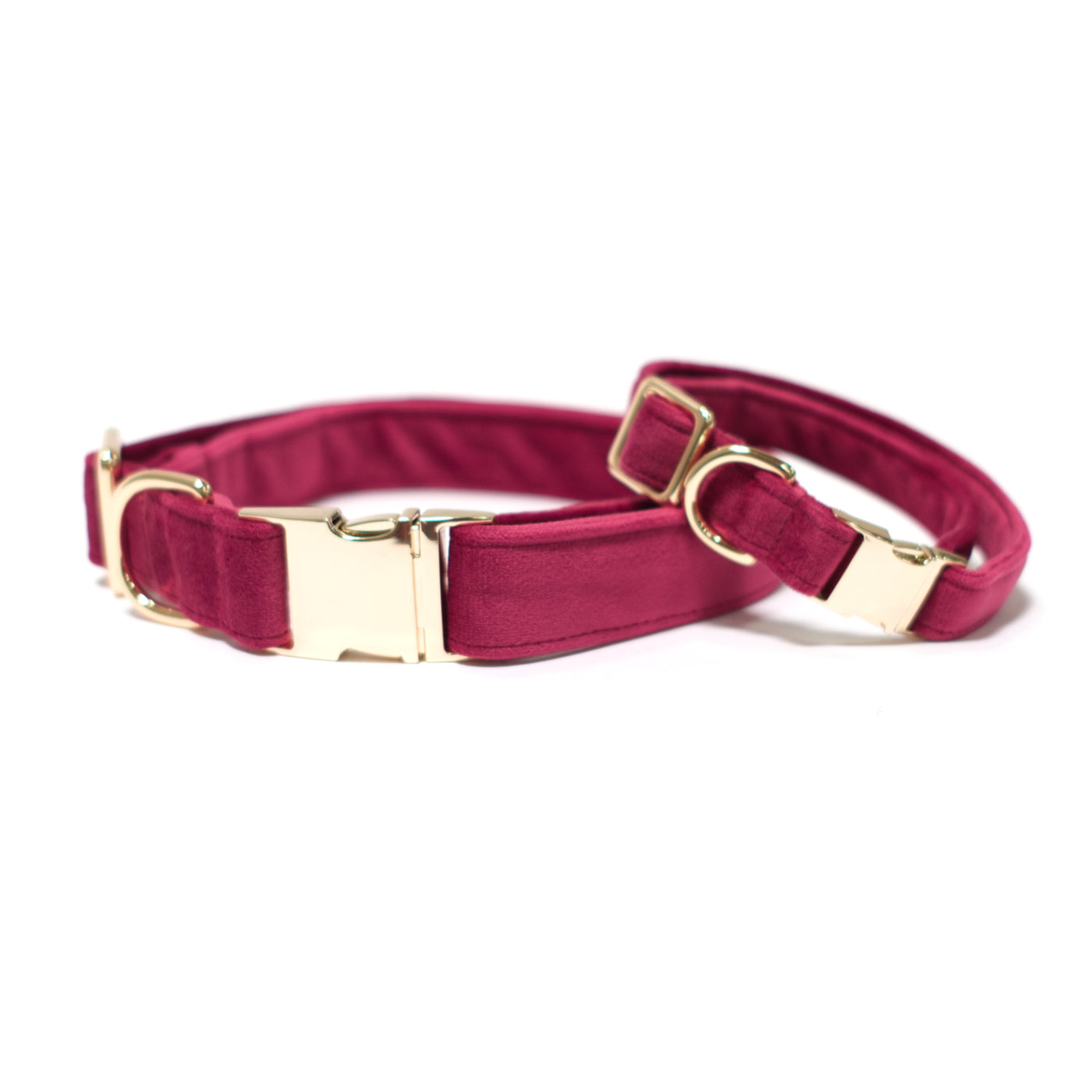 Burgundy velvet dog collars with gold hardware in small and medium