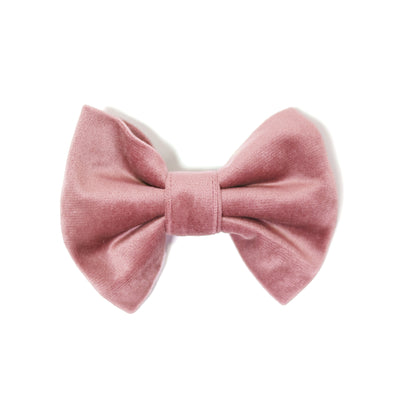 Blush pink velvet classic dog bow tie for collars and leashes