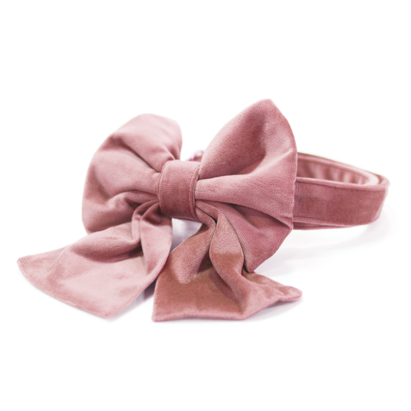 Blush pink velvet dog collar with sailor dog bow