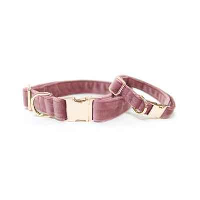 Millennial pink dog collars with gold hardware in small and medium
