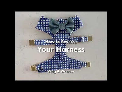 Leopard Parade Reversible Dog Harness + Endless Path Sailor Bow