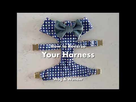 Leopard Parade Reversible Dog Harness + Endless Path Bow Tie