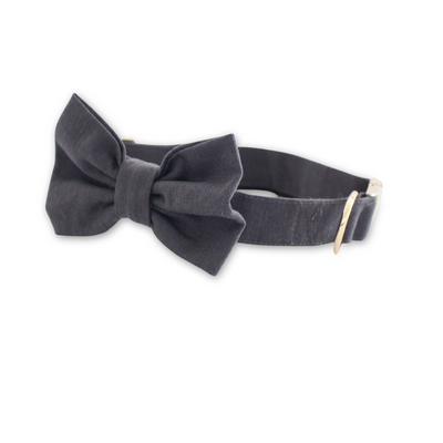 Stone Classic Dog Collar + Bow Tie