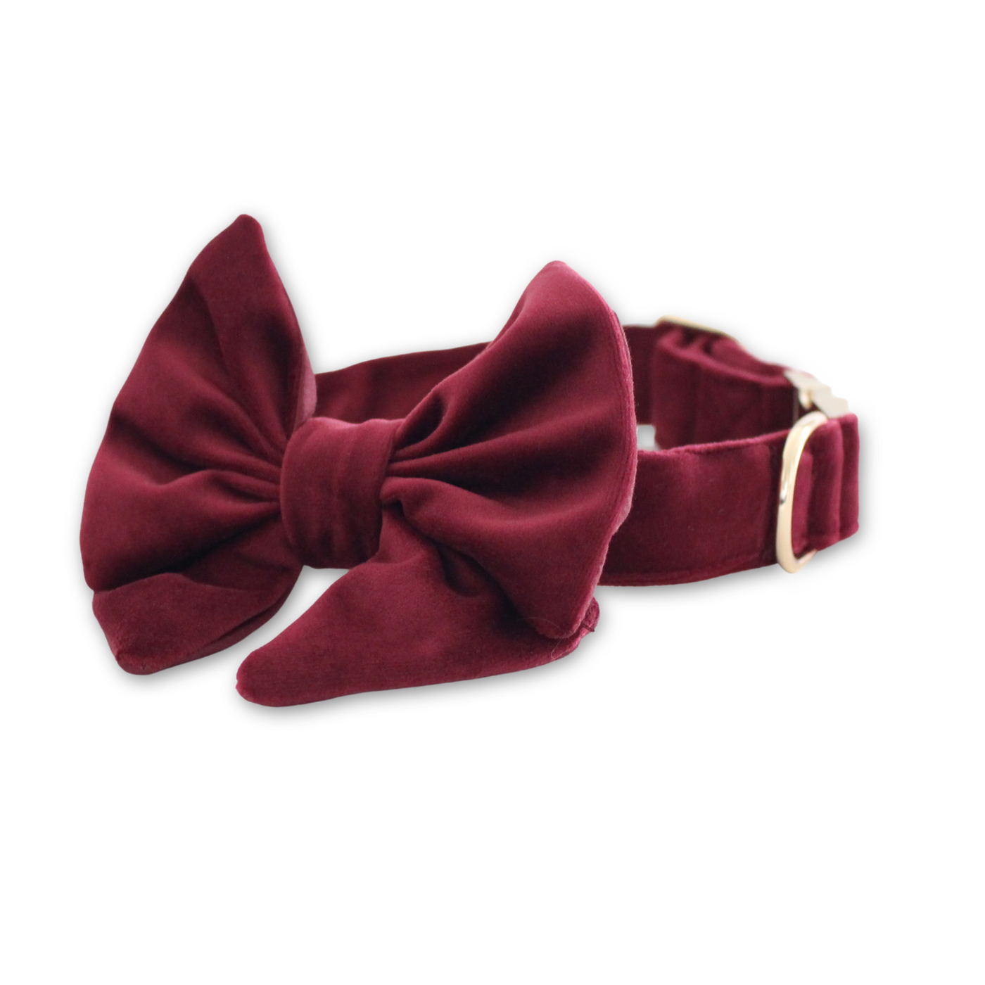 Velvet Mulberry Classic Dog Collar + Sailor Bow