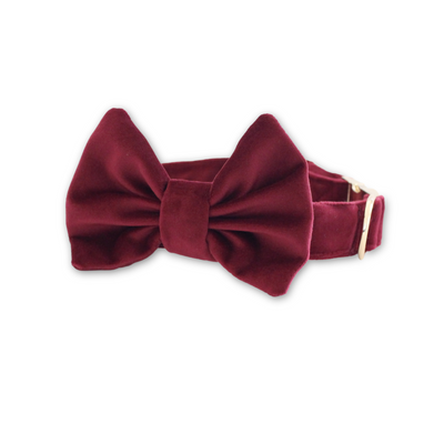 Velvet Mulberry Classic Dog Collar + Bow Tie