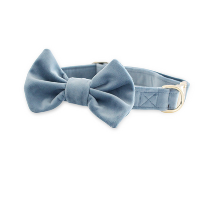 Velvet Misty River Classic Dog Collar + Bow Tie