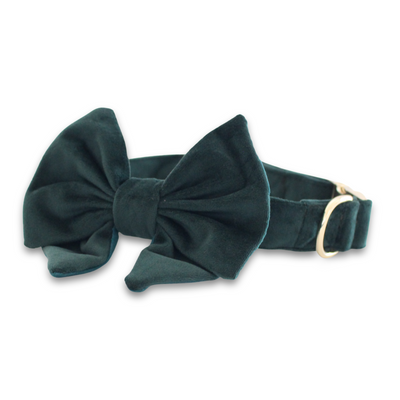 Velvet Evergreen Classic Dog Collar + Sailor Bow